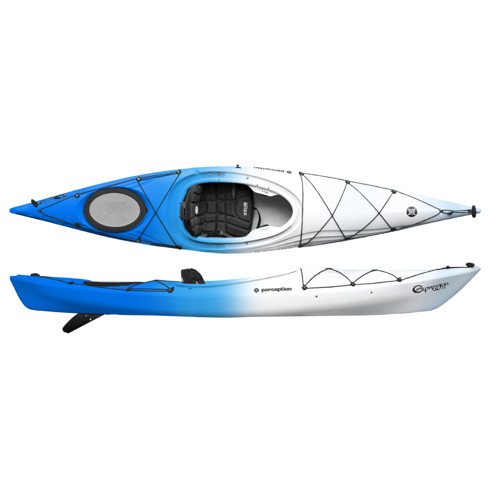 Perception Expression 11