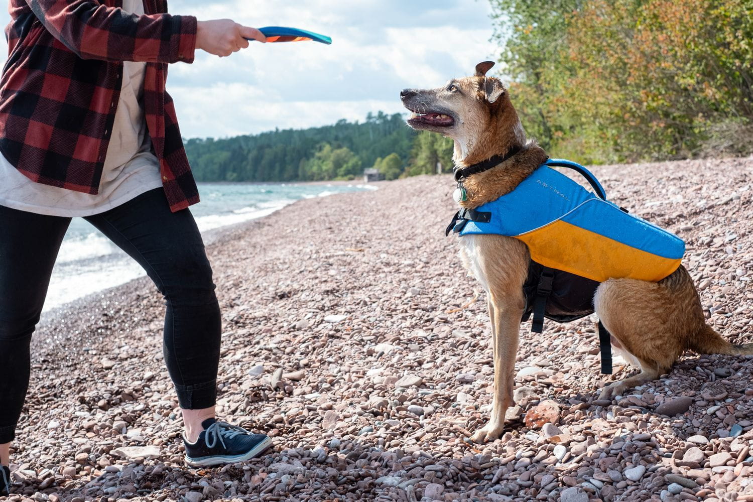 Astral Birddog - Flow Kayaks